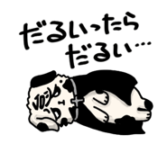 857435923