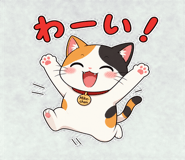857436257
