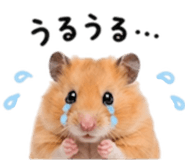 857439642