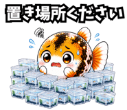 857442001