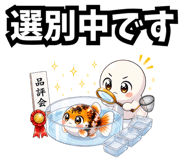 857442018