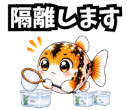 857442024