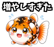 857442028