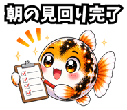 857442031