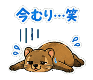 857442215