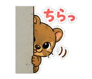 857442216
