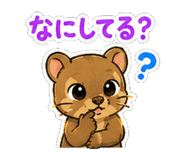 857442226