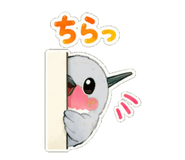 857449000