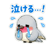 857449015