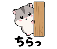 857449148