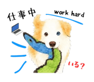 857450827