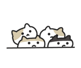 857452228