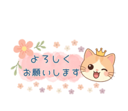 857452555