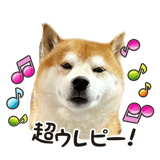 857455451