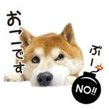 857455452