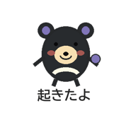 857457554
