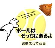 857459955
