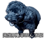 857460146