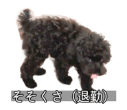 857460148
