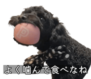 857460154