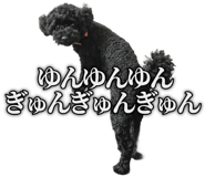 857460159