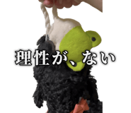 857460169