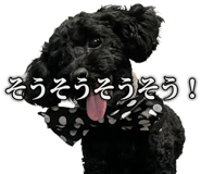 857460170
