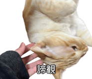 857460173