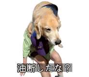 857460176