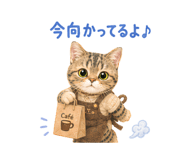 857460268