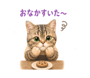 857460277
