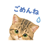 857460296