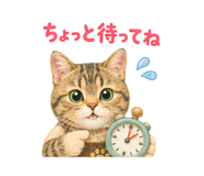 857460298