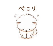 857464223