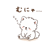 857464225