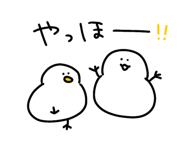 857464806