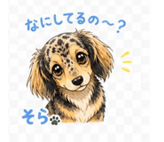 857468097