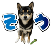 857469869