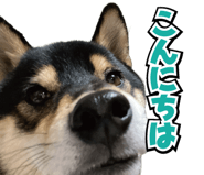 857469890