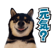 857469893