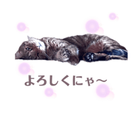 857477902