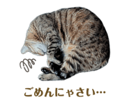 857477904