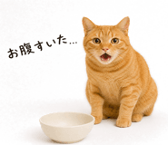 857483342