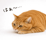 857483344