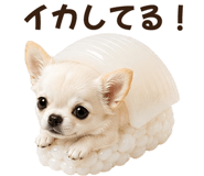 857484169
