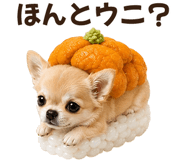 857484172