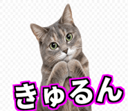857484553