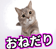 857484559