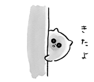 857485204