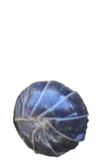 857485283